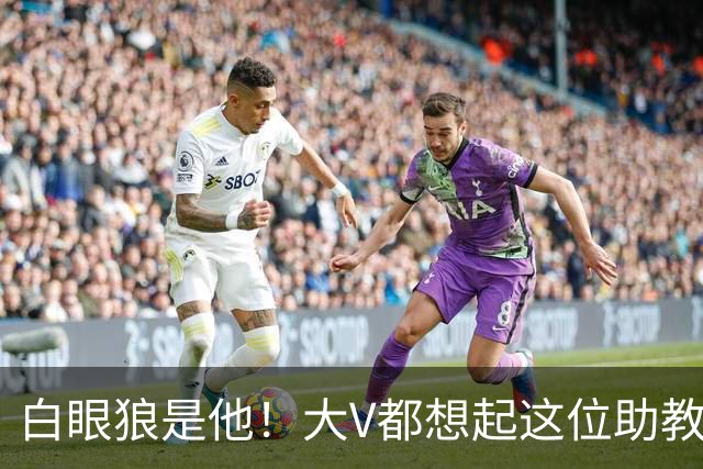 白眼狼是他！大V都想起这位助教 把鲁能告上法庭